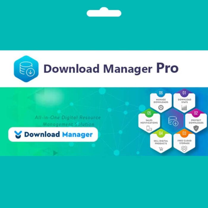 Download Manager Pro